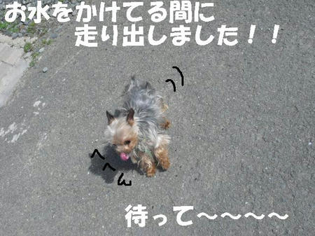 CIMG0445.JPG