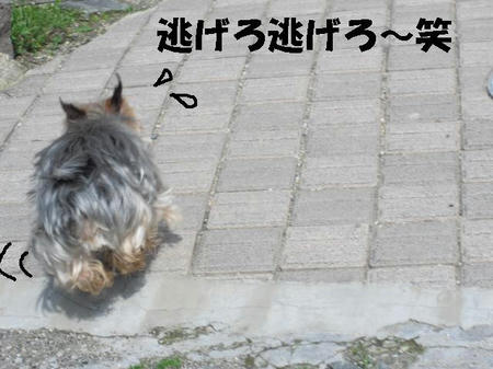 CIMG0448.JPG