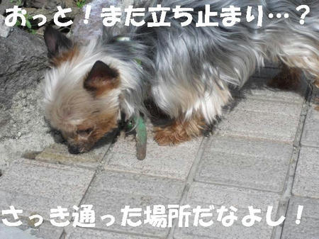 CIMG0449.JPG