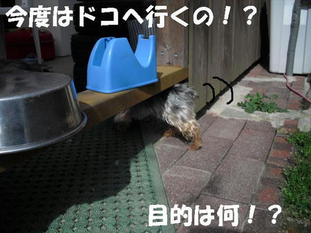 CIMG0450.JPG
