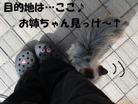 CIMG0453.JPG