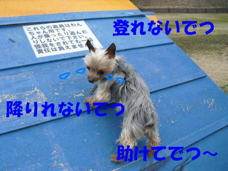 CIMG0493.JPG