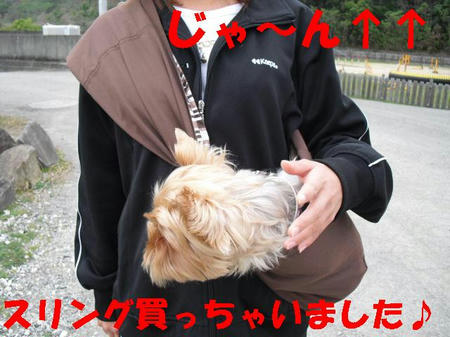CIMG0574.JPG
