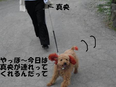 CIMG0589.JPG