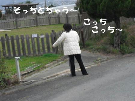 CIMG0591.JPG