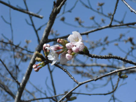 CIMG0609.JPG