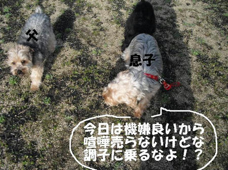 CIMG0643.JPG