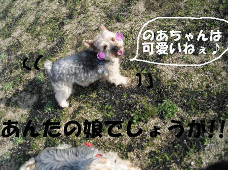 CIMG0645.JPG