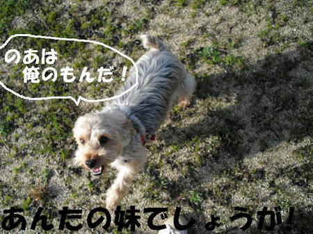 CIMG0646.JPG