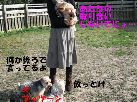 CIMG0651.JPG
