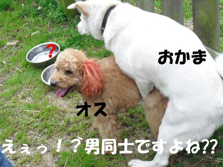 CIMG0662.JPG