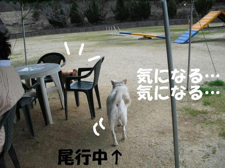 CIMG0666.JPG