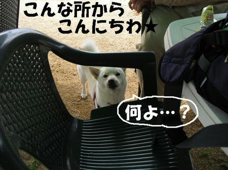 CIMG0673.JPG