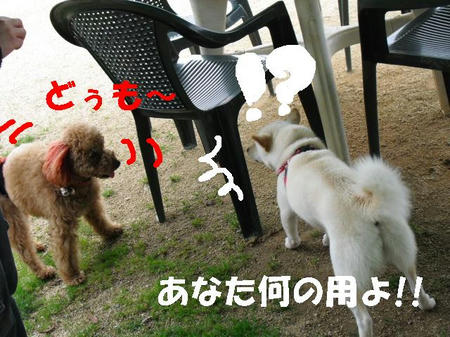CIMG0678.JPG