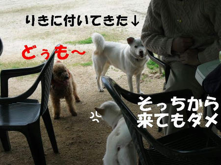 CIMG0677.JPG