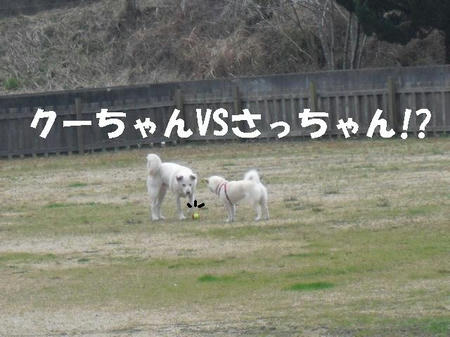 CIMG0689.JPG