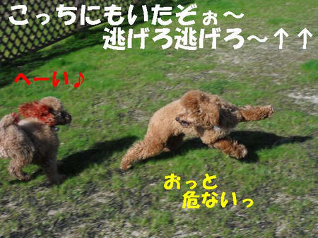 CIMG0703.JPG