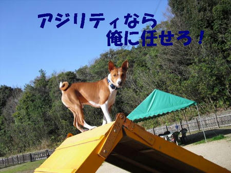 CIMG0718.JPG