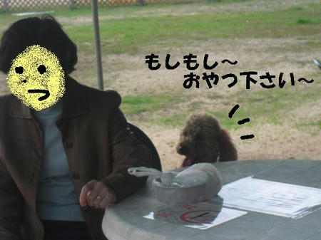 CIMG0818.JPG