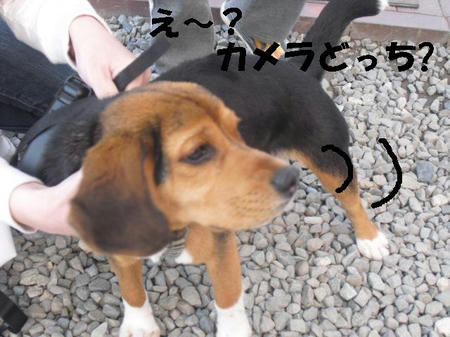 CIMG0831.JPG