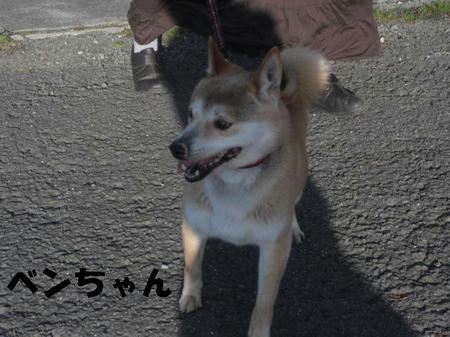 CIMG0889.JPG
