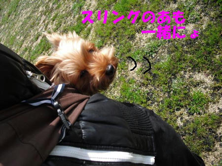 CIMG0600.JPG