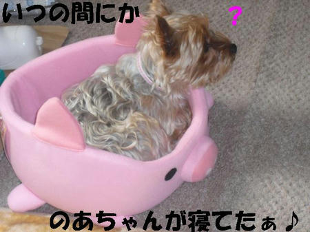 CIMG0822.JPG