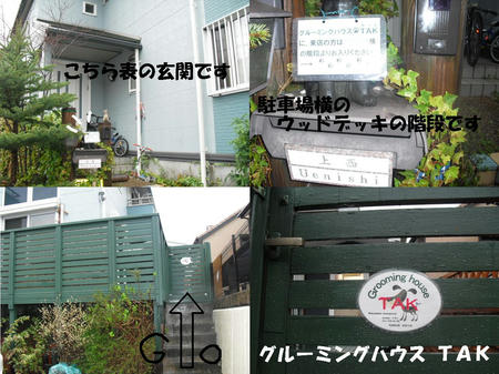 4600b242.JPG