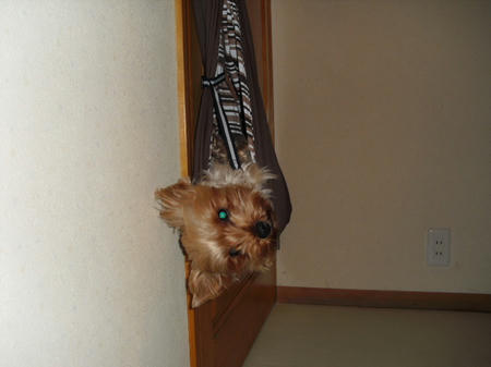 CIMG0660.JPG