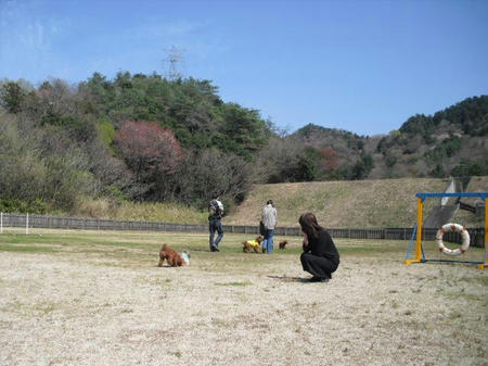 aa866b03.JPG