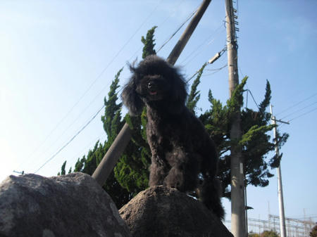 CIMG2011.JPG