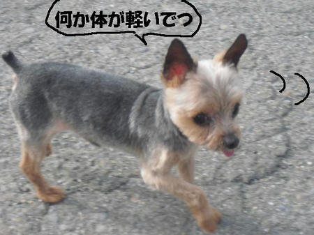 CIMG2859.JPG