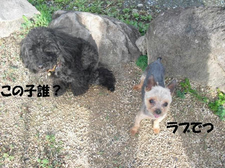 CIMG2869.JPG