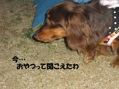 CIMG2913.JPG