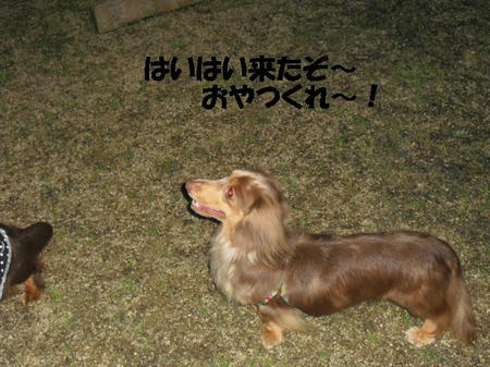 CIMG2926.JPG