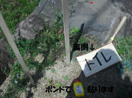 CIMG2502.JPG