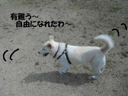 CIMG3229.JPG