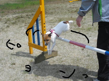 CIMG3238.JPG