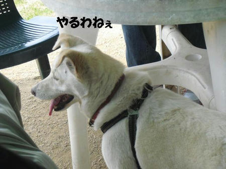 CIMG3232.JPG