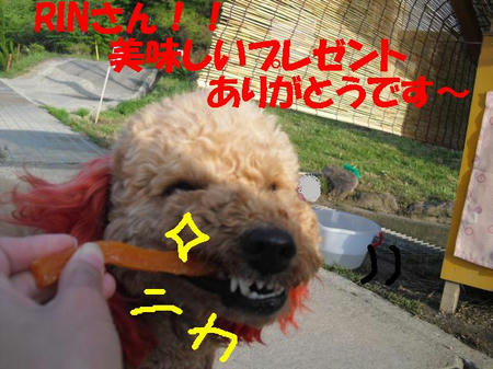 CIMG3526.JPG