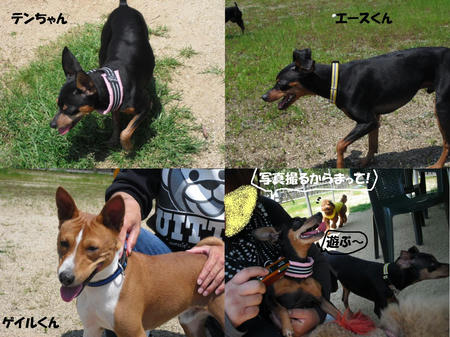 7aa18a4d.JPG