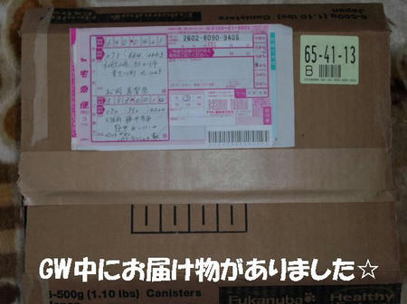 CIMG4370.JPG