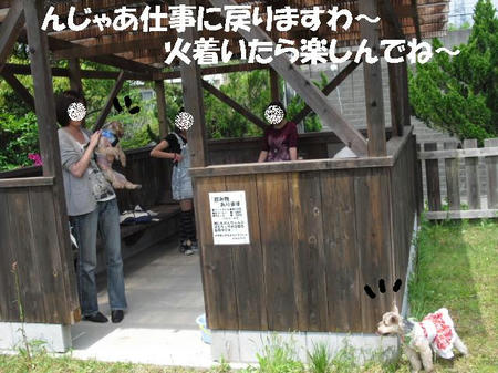 201a7451.JPG
