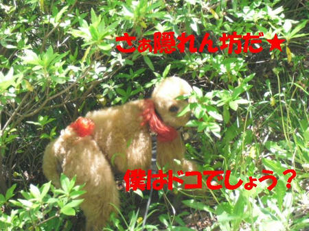 CIMG3066.JPG