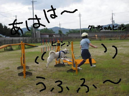 69358c02.JPG