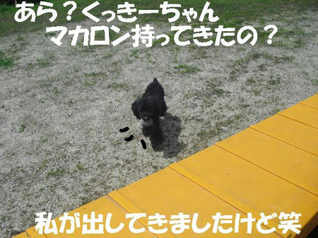 2b8898d6.JPG