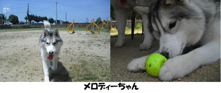 88816a04.JPG