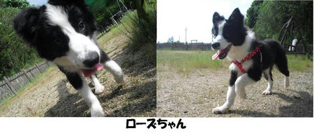 2d8c3267.JPG