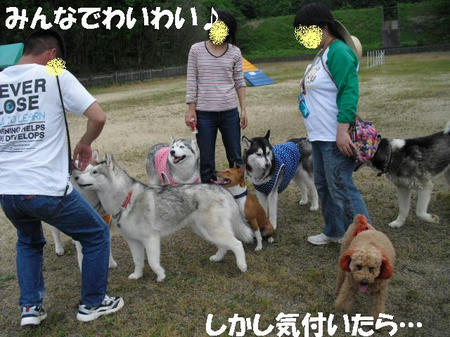 0d97b5c7.JPG