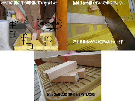 001c4bd8.JPG